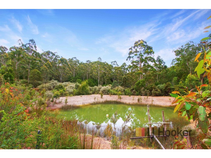331 Old Vasse Road (Yeagarup), Pemberton WA 6260