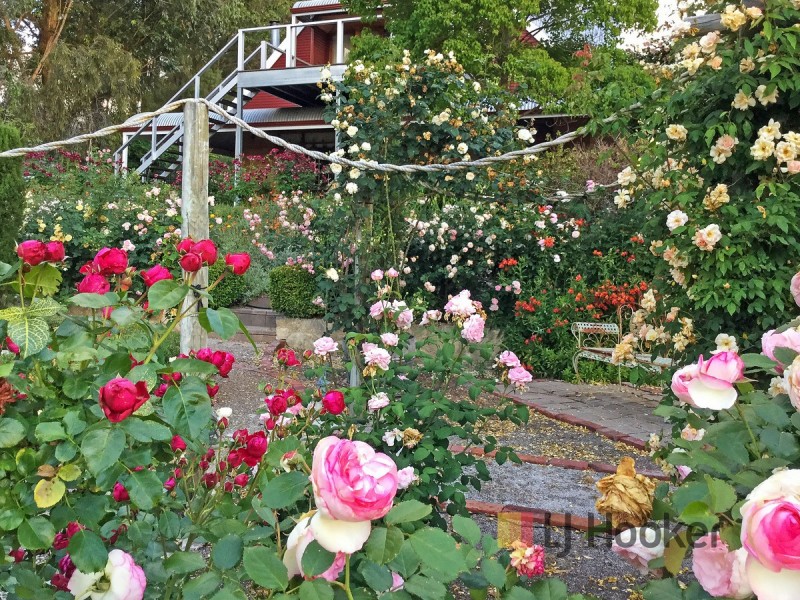 71 Jamieson Street, Pemberton WA 6260