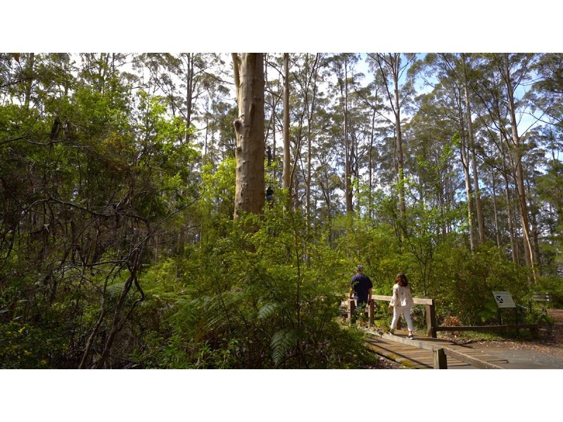 Lot 101-127/ Golf Links Road, Pemberton WA 6260