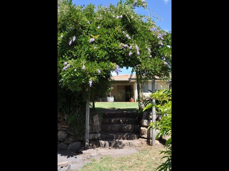 45 Lefroy Street, Pemberton WA 6260