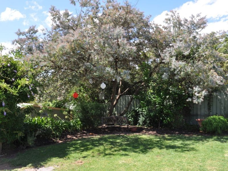 45 Lefroy Street, Pemberton WA 6260