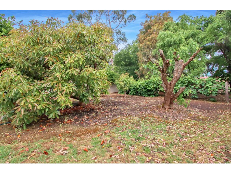 21 Kennedy Street, Pemberton WA 6260