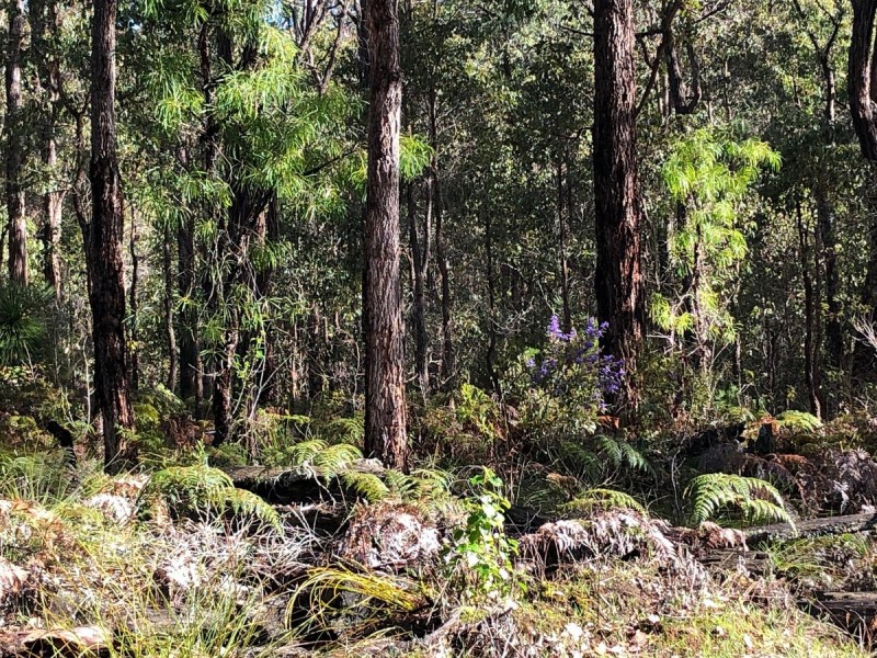 3619 Muir Highway (Dingup), Manjimup WA 6258