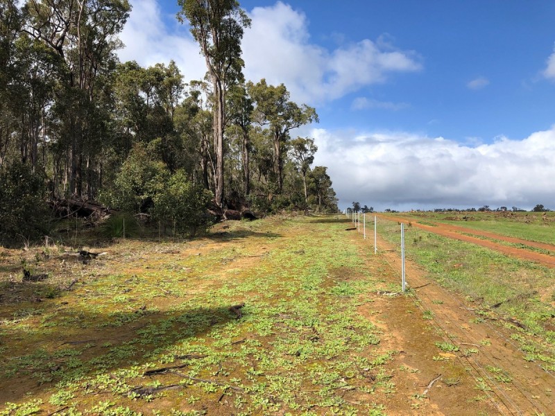 3619 Muir Highway (Dingup), Manjimup WA 6258