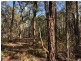 3619 Muir Highway (Dingup), Manjimup WA 6258