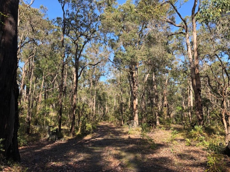 3619 Muir Highway (Dingup), Manjimup WA 6258