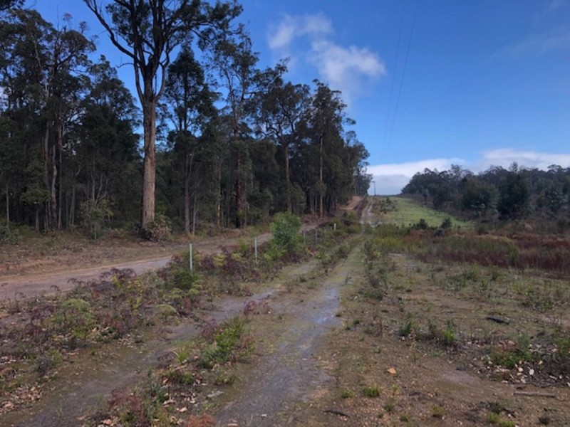 3619 Muir Highway (Dingup), Manjimup WA 6258