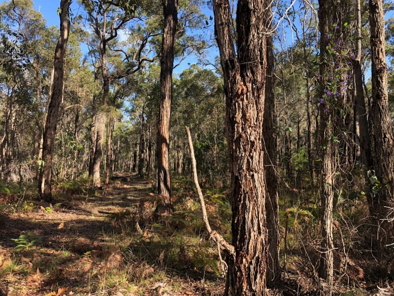 3619 Muir Highway (Dingup), Manjimup WA 6258