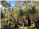 3619 Muir Highway (Dingup), Manjimup WA 6258