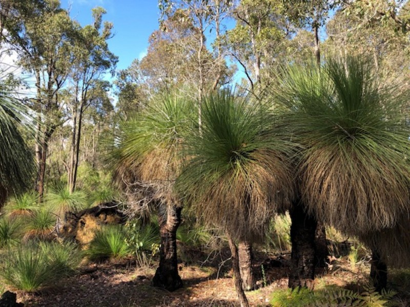 3619 Muir Highway (Dingup), Manjimup WA 6258