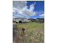 18 O’Connor Street, Manjimup WA 6258