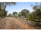 218 Conte Road, Pemberton WA 6260