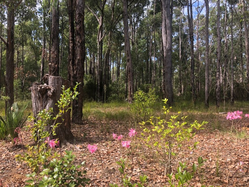 21 Bendotti Court, Pemberton WA 6260