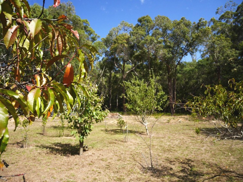 21 Bendotti Court, Pemberton WA 6260