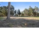 Lot 20 Pemberton – Northcliffe Road, Northcliffe WA 6262