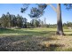 Lot 20 Pemberton – Northcliffe Road, Northcliffe WA 6262