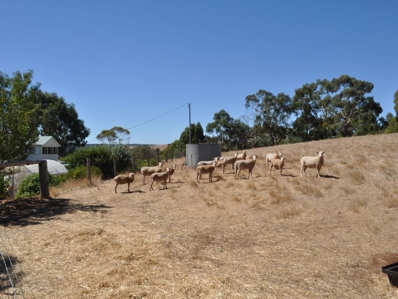 10 Davies Street, Bridgetown WA 6255