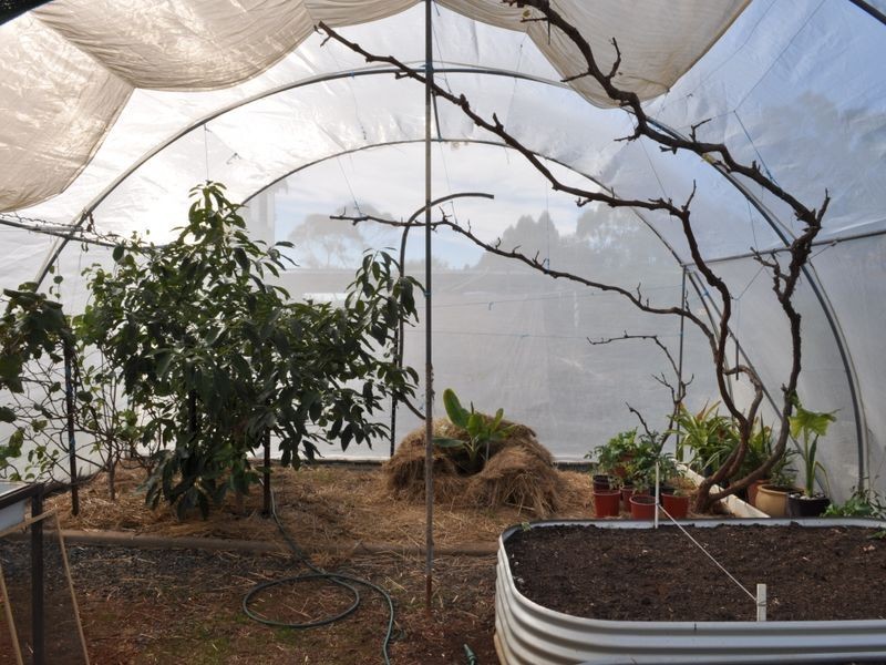 10 Davies Street, Bridgetown WA 6255