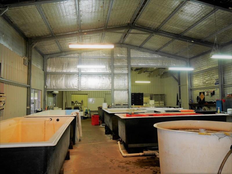 Lot 5 (Par Pump Hill Road, Pemberton WA 6260