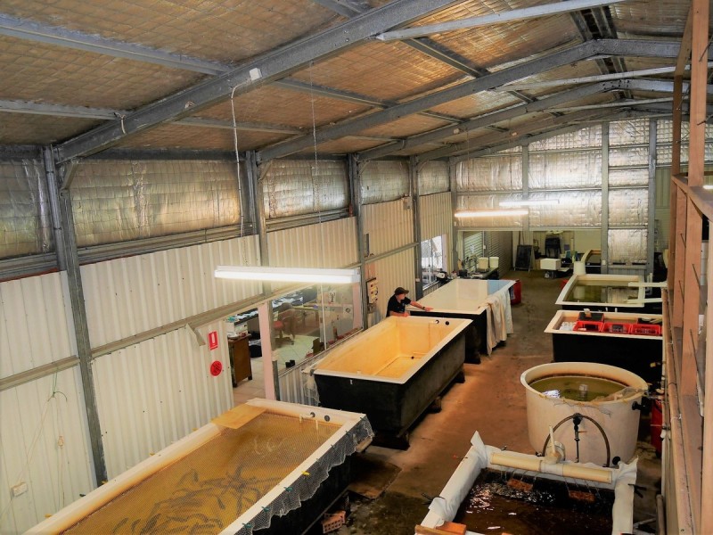 Lot 5 (Par Pump Hill Road, Pemberton WA 6260