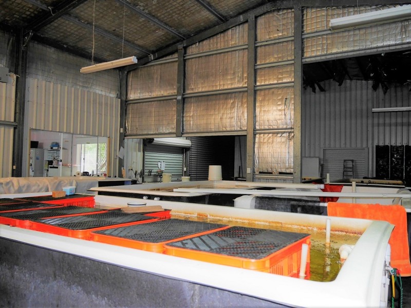 Lot 5 (Par Pump Hill Road, Pemberton WA 6260