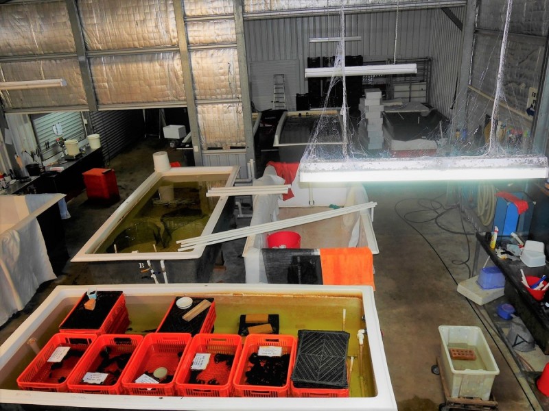 Lot 5 (Par Pump Hill Road, Pemberton WA 6260