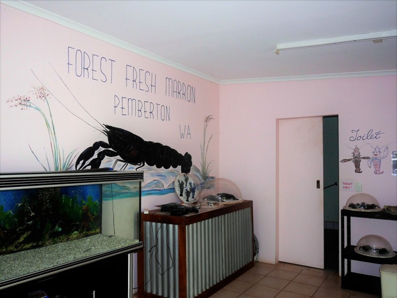 Lot 5 (Par Pump Hill Road, Pemberton WA 6260