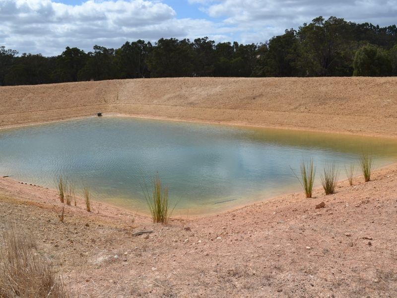 13 Ralph Road, Manjimup WA 6258