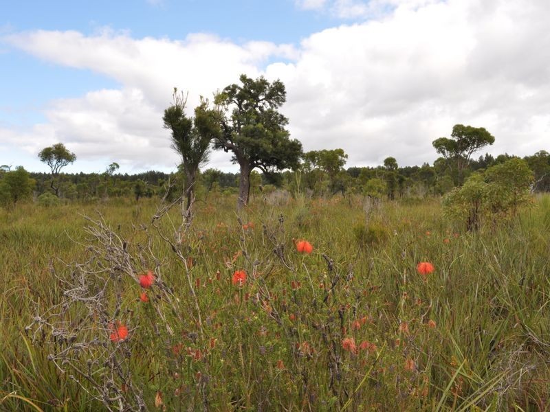 1 Pioneer Road, Northcliffe WA 6262