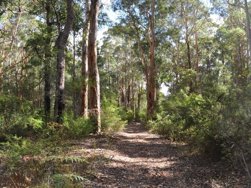 1 Pioneer Road, Northcliffe WA 6262