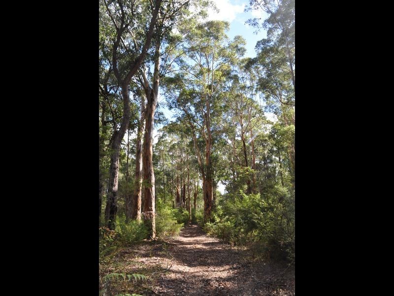 1 Pioneer Road, Northcliffe WA 6262