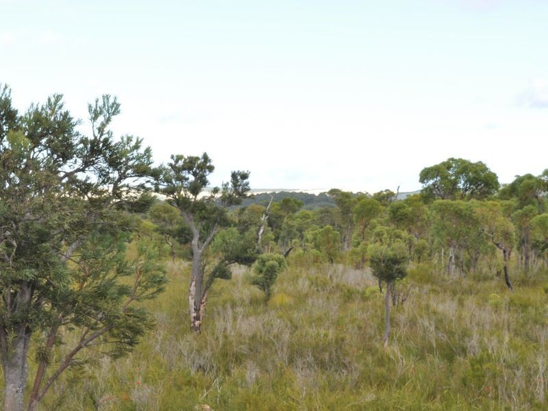 1 Pioneer Road, Northcliffe WA 6262