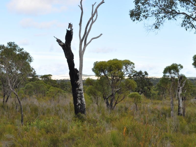 1 Pioneer Road, Northcliffe WA 6262