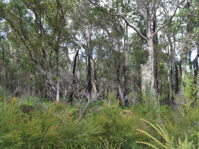 1 Pioneer Road, Northcliffe WA 6262