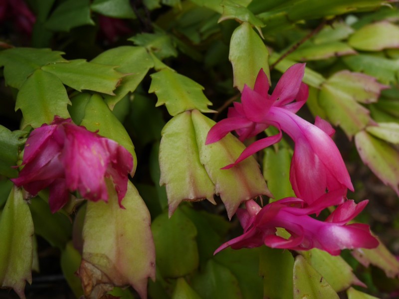 26869 South West Highway, Palgarup WA 6258