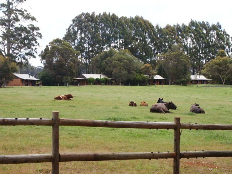 Lot 11110 Pump Hill Road, Pemberton WA 6260