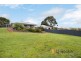 11 Guppy Street, Pemberton WA 6260