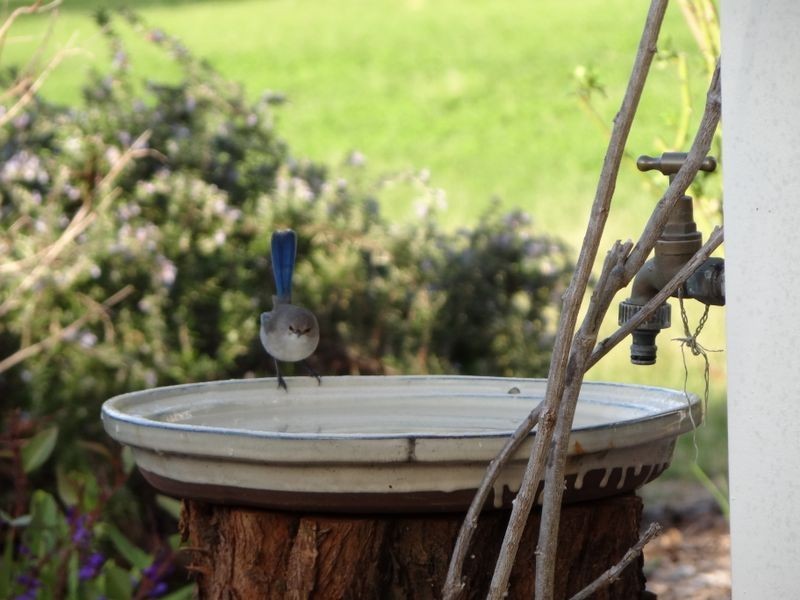 489 Stirling Road, Pemberton WA 6260