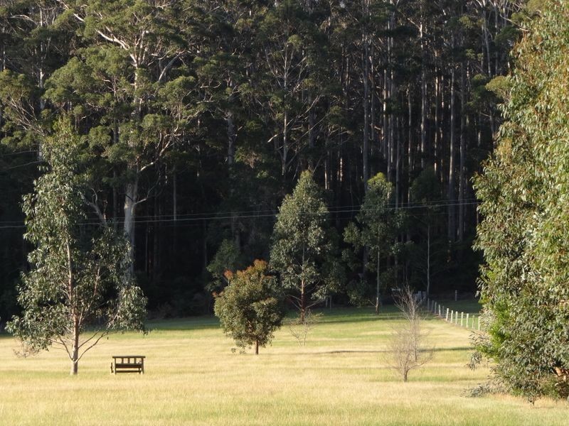 489 Stirling Road, Pemberton WA 6260