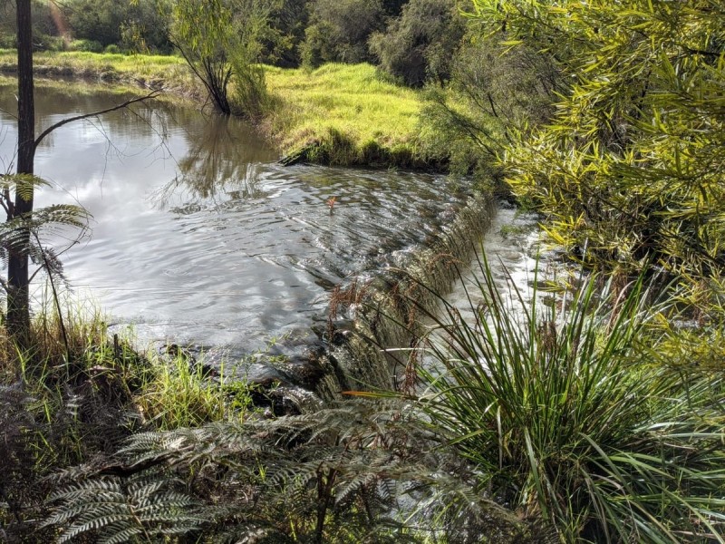 381 Piano Gully Road (Middlesex), Manjimup WA 6258