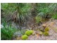 381 Piano Gully Road (Middlesex), Manjimup WA 6258