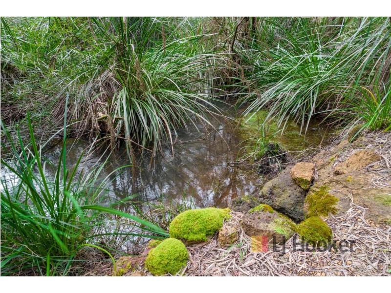 381 Piano Gully Road (Middlesex), Manjimup WA 6258