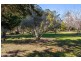 46 Clarrie Jones Place, Pemberton WA 6260