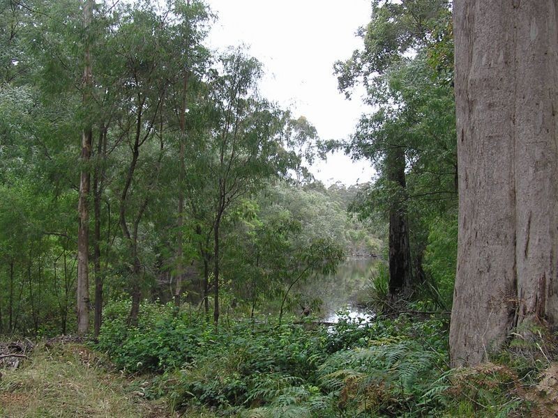 Lot 8773 Hillbrook Road, Northcliffe WA 6262