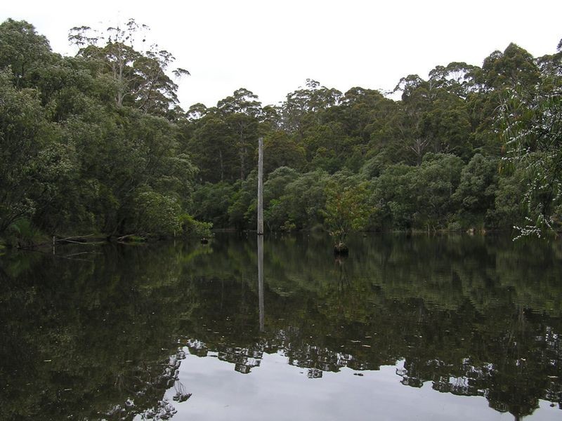 Lot 8773 Hillbrook Road, Northcliffe WA 6262