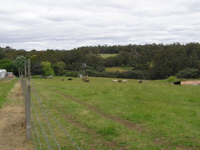 Lot 8773 Hillbrook Road, Northcliffe WA 6262