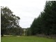 Lot 8773 Hillbrook Road, Northcliffe WA 6262