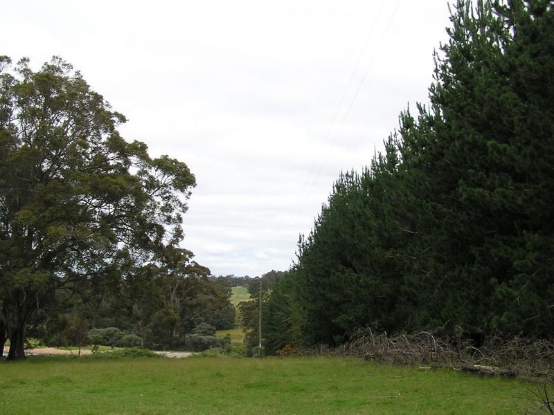 Lot 8773 Hillbrook Road, Northcliffe WA 6262