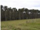 Lot 8773 Hillbrook Road, Northcliffe WA 6262