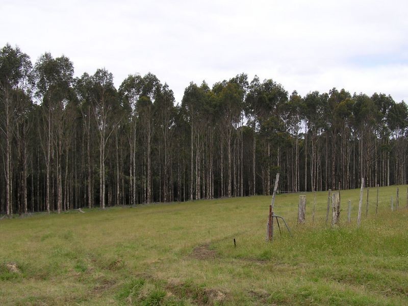 Lot 8773 Hillbrook Road, Northcliffe WA 6262
